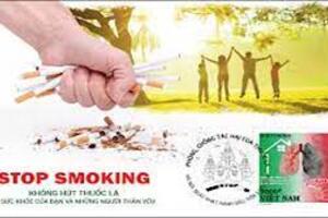 Tác động của thuốc lá tới môi trường.