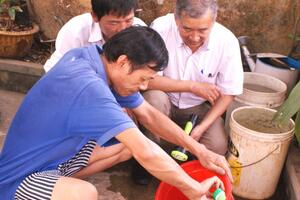 Những dấu hiệu cảnh báo sốt xuất huyết nghiêm trọng