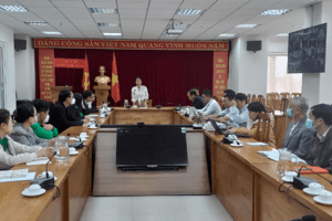 Ngành Y tế tổ chức Hội nghị trực tuyến triển khai các hoạt động thuộc lĩnh vực công nghệ thông tin