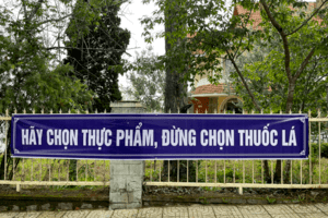 THÀNH PHỐ ĐÀ LẠT HƯỞNG ỨNG  NGÀY THẾ GIỚI PHÒNG CHỐNG TÁC HẠI THUỐC LÁ