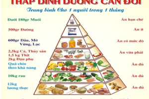 Trung tâm Y tế Lâm Hà - Tập huấn các hoạt động cải thiện tình trạng dinh dưỡng trẻ em