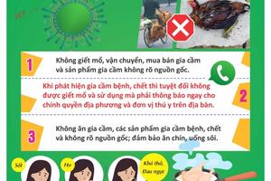 PHÒNG BỆNH CÚM A(H5N1)