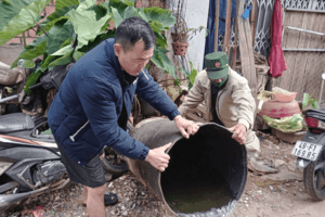 Tăng cường công tác điều trị Sốt xuất huyết Dengue