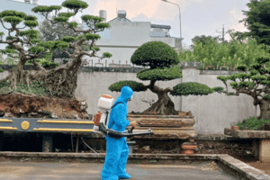 TRUNG TÂM KIỂM SOÁT BỆNH TẬT PHỐI HỢP VỚI TRUNG TÂM Y TẾ BẢO LỘC TIẾP TỤC TRIỂN KHAI CÔNG TÁC PHÒNG, CHỐNG BỆNH SỐT XUẤT HUYẾT