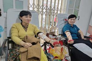 HỘI CHỮ THẬP ĐỎ TỈNH TỔ CHỨC HIẾN MÁU TÌNH NGUYỆN