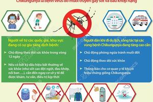 Tăng cường phòng chống bệnh Chikungunya