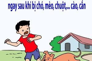 LÀM GÌ ĐỂ KHÔNG TỬ VONG VÌ BỆNH DẠI ?