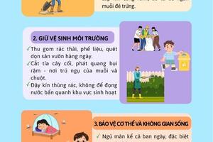 ĐỪNG ĐỂ MUỖI, CÔN TRÙNG SINH SÔI SAU MƯA LŨ