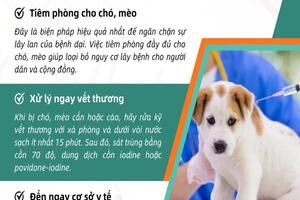 TĂNG CƯỜNG CÔNG TÁC PHÒNG CHỐNG BỆNH DẠI