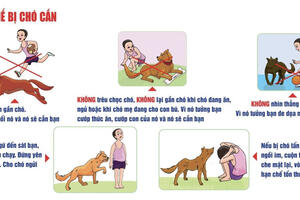Người dân cần chủ động thực hiện các biện pháp phòng chống bệnh dại
