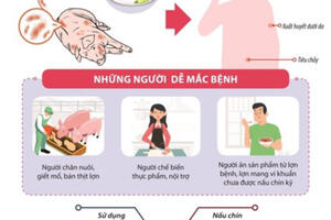 BỆNH LIÊN CẦU LỢN Ở NGƯỜI – NHỮNG ĐIỀU CẦN BIẾT
