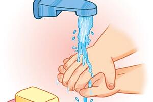 THÔNG TIN DỊCH BỆNH DO VI RÚT NIPAH VÀ CÁC BIỆN PHÁP PHÒNG CHỐNG TẠI VIỆT NAM