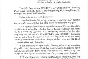 Thực hiện Công điện số 123/CĐ-TTg ngày 29/11/2024 của Thủ tướng Chỉnh phủ