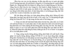 Tăng cường công tác phòng chống sốt xuất huyết