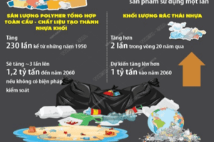 Hưởng ứng Ngày Môi trường thế giới và Tháng hành động vì Môi trường năm 2025