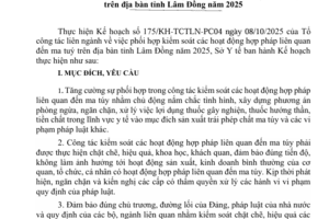 Kế hoạch Kiểm soát các hoạt động hợp pháp liên quan đến ma tuý trong lĩnh vực y tế  trên địa bàn tỉnh Lâm Đồng năm 2025