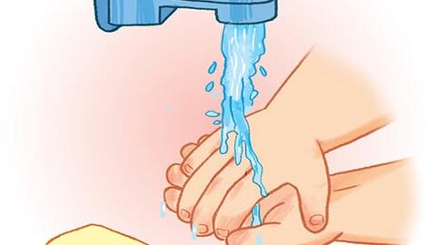 THÔNG TIN DỊCH BỆNH DO VI RÚT NIPAH VÀ CÁC BIỆN PHÁP PHÒNG CHỐNG TẠI VIỆT NAM