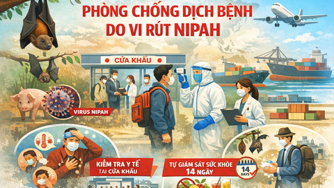 CHỦ ĐỘNG PHÒNG, CHỐNG BỆNH DO VI RÚT NIPAH – TĂNG CƯỜNG GIÁM SÁT TẠI CÁC CỬA KHẨU TRÊN ĐỊA BÀN TỈNH LÂM ĐỒNG