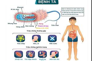 BỆNH TẢ -  CHỦ ĐỘNG PHÒNG NGỪA