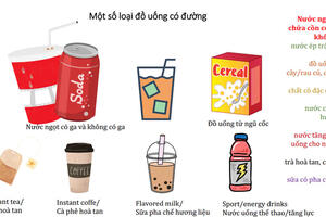Mối nguy hiểm thầm lặng từ đồ uống có đường đối với sức khỏe
