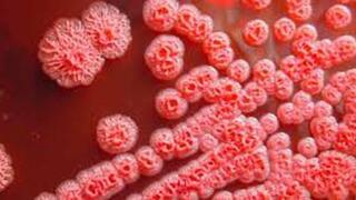 TIN HOẠT ĐỘNG KHÁM CHỮA BỆNH