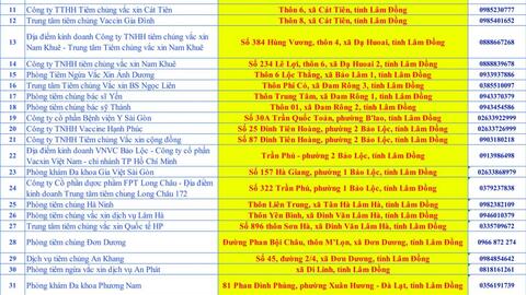 Phòng chống bệnh dại – xin đừng chủ quan