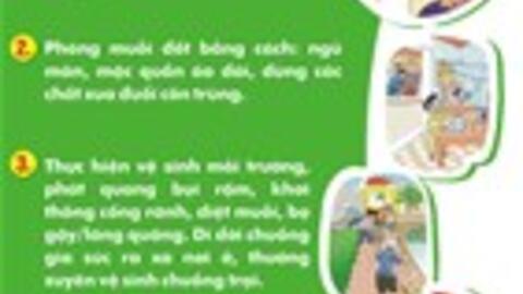 Viêm não Nhật Bản - Đừng chủ quan với những cơn sốt cao ở trẻ