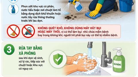 5 KHUYẾN CÁO PHÒNG BỆNH VIRUS HANTA